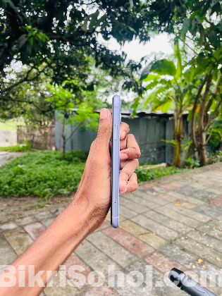 Apple 11